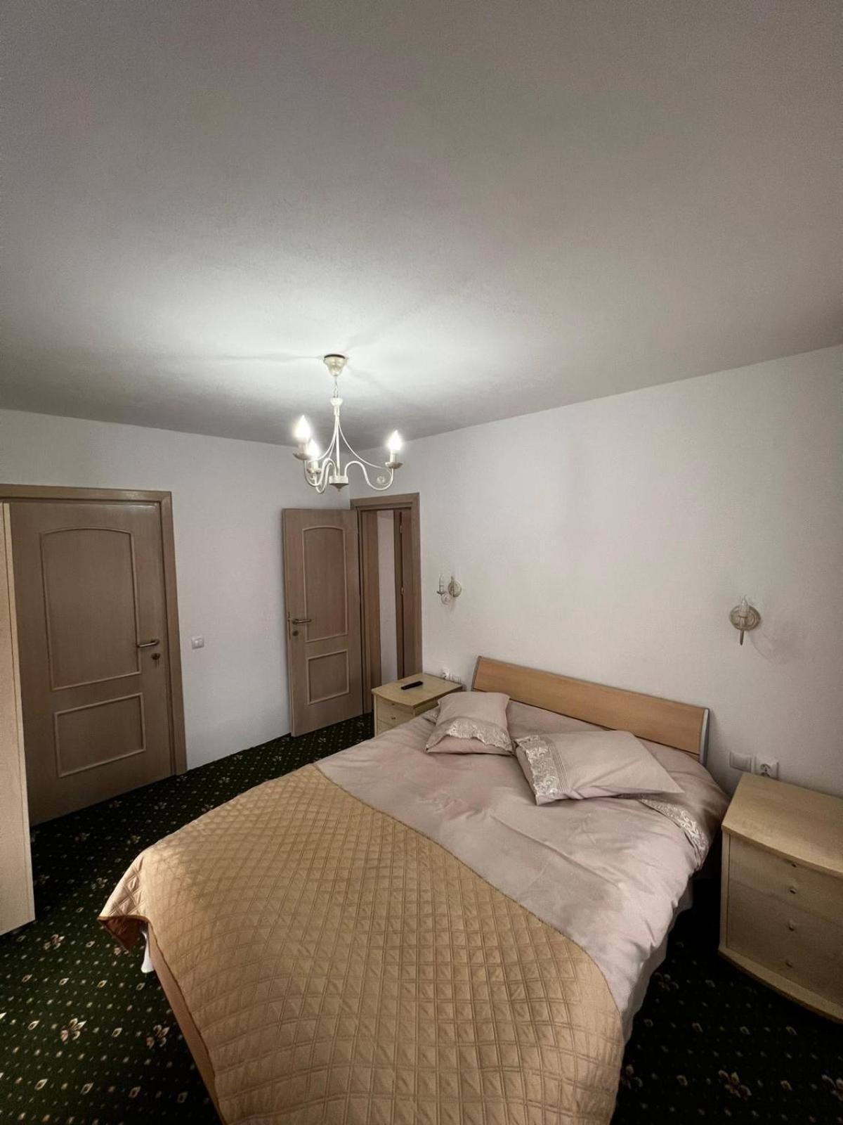 Отель Casa Bujor De Munte Dragoslavele Экстерьер фото